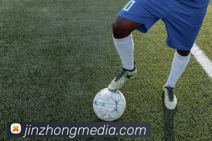 华体会手机网页版平台生态图